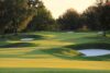 Non Golfer Registration