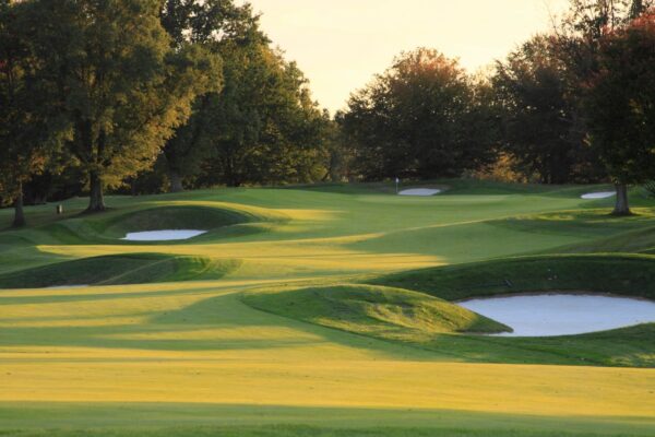 Non Golfer Registration